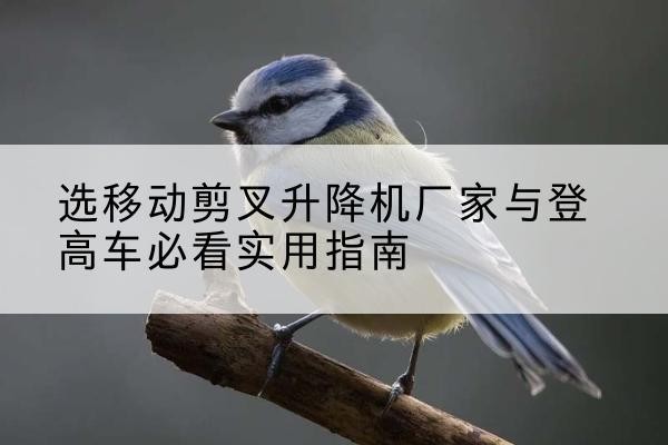 大理电动升降机厂家-选移动剪叉升降机厂家与登高车必看实用指南