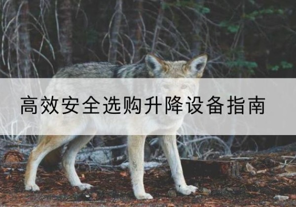 大理升降货梯厂家推荐-*安全选购升降设备指南