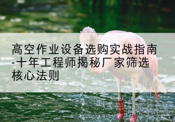 大理剪叉式升降机厂家-高空作业设备选购实战指南-十年工程师揭秘厂家筛选核心法则